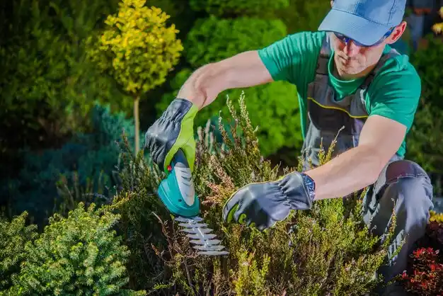 landscaping services Peach Lake